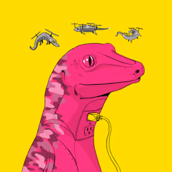 Lizard #3362