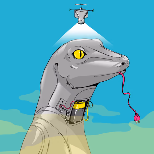 Lizard #2370