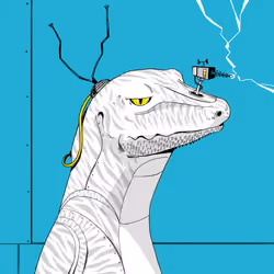 Lizard #620