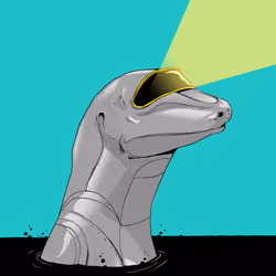 Lizard #4627