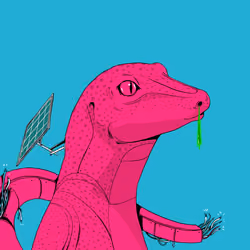 Lizard #2904