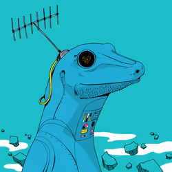 Lizard #1373