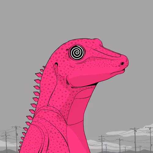 Lizard #3723