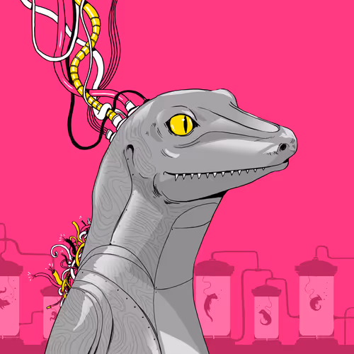 The Lizard Lab