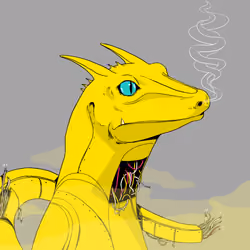 Lizard #897