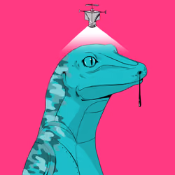 Lizard #2574