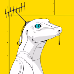Lizard #4622
