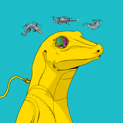 Lizard #2067