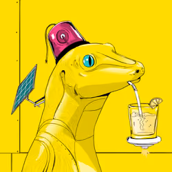 Lizard #614