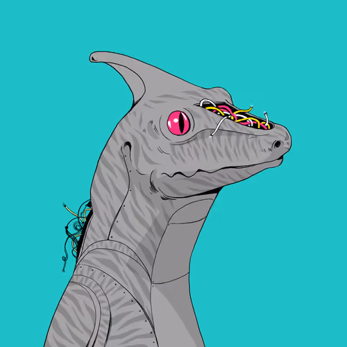 Lizard #3116