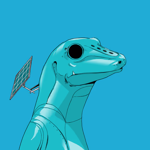 Lizard #1146
