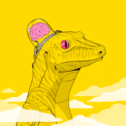 Lizard #476