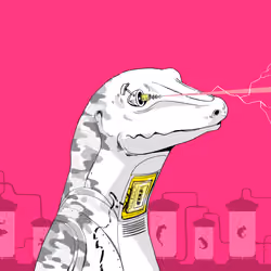 Lizard #3551