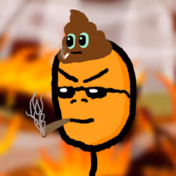 1207
