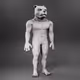 243