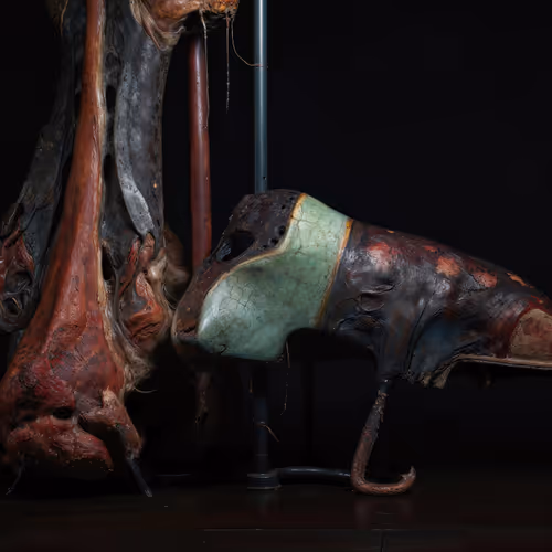 "Cabinet de formes organiques..." (chapter I)