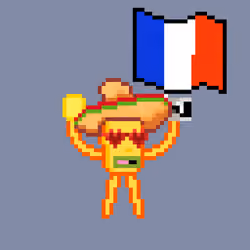 Congrats France #329