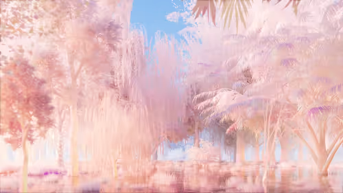 Item #84000300008 Media