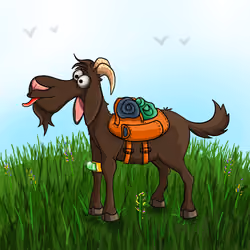Goat #0894