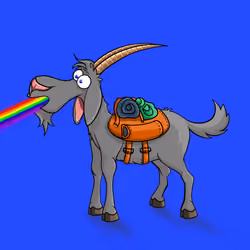 Goat #1487
