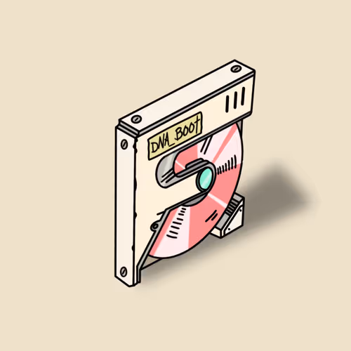 N3rdifier Boot