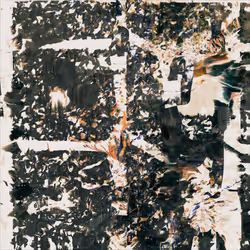春分 ｜ Equinox #16