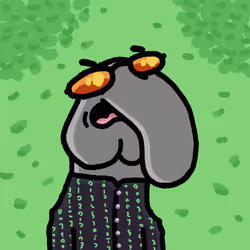 2263