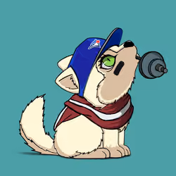 Woofpack #1506
