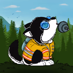 Woofpack #825