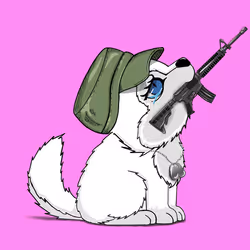 1252