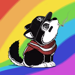Woofpack #1809