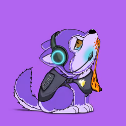 Woofpack #824