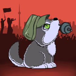 Woofpack #1042
