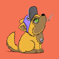 Woofpack #379