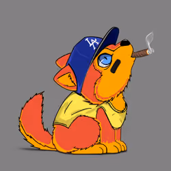 Woofpack #1064