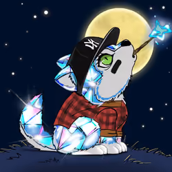 Woofpack #1234