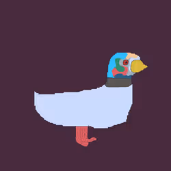 494