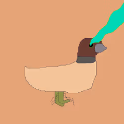 306