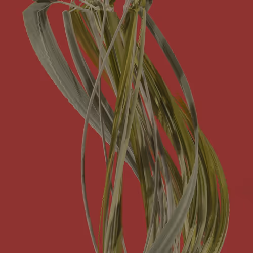 Bloom Ii