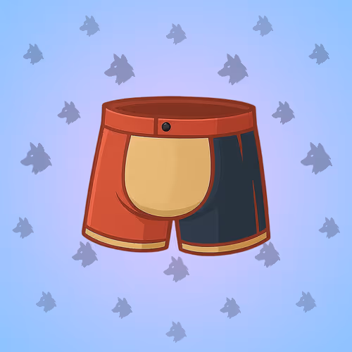 Degen Briefs