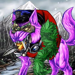 Delta Wolves #3475