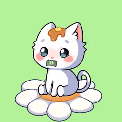 Cupcat Kitten 9373