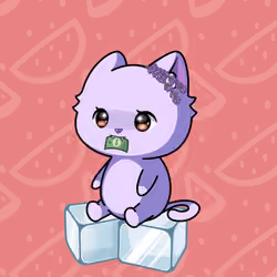 Cupcat Kitten 7879