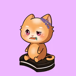 Cupcat Kitten 1416
