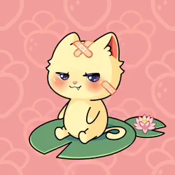 Cupcat Kitten 6662