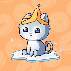 Cupcat Kitten 9114