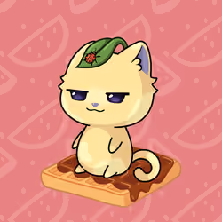 Cupcat Kitten 4304