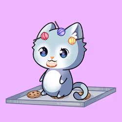 Cupcat Kitten 9412