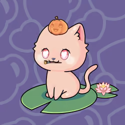 Cupcat Kitten 3772