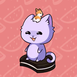 Cupcat Kitten 3162